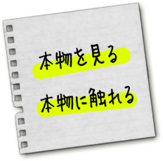 本物を見る　本物に触れる