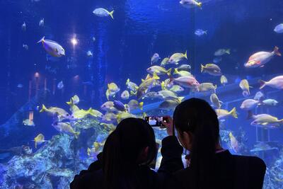 鳥羽水族館