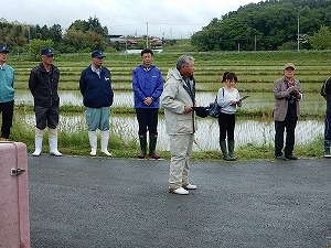 田植え体験